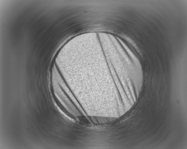 X0000081561476200702121343