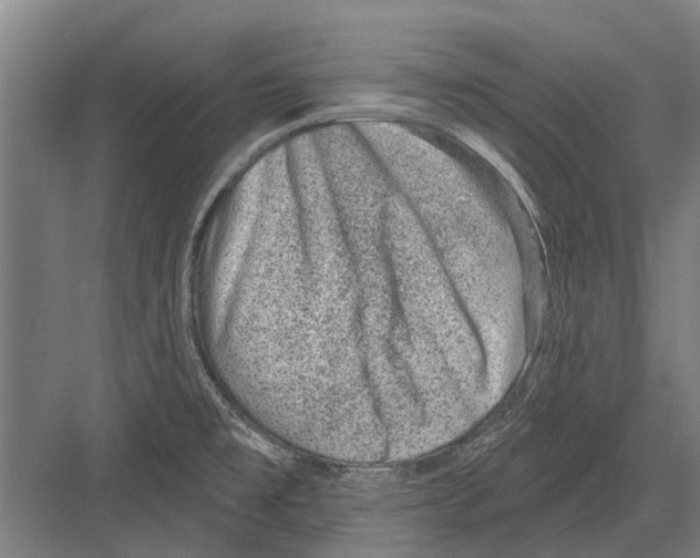 X0000081561477200702121343