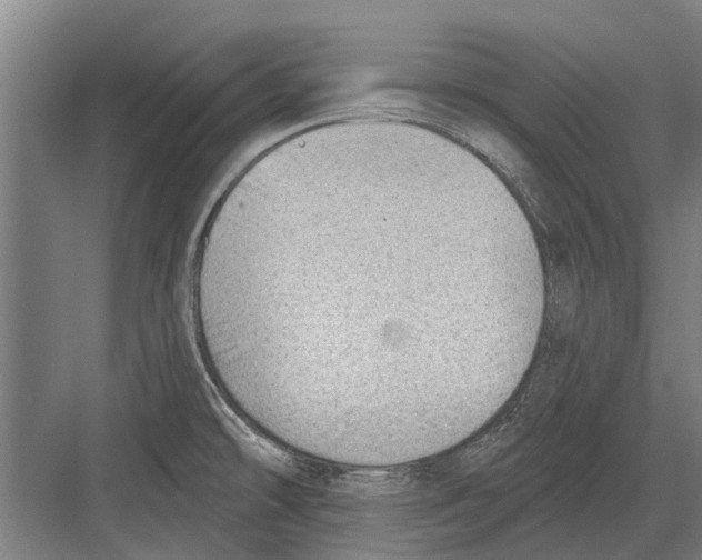 X0000081561478200702121343