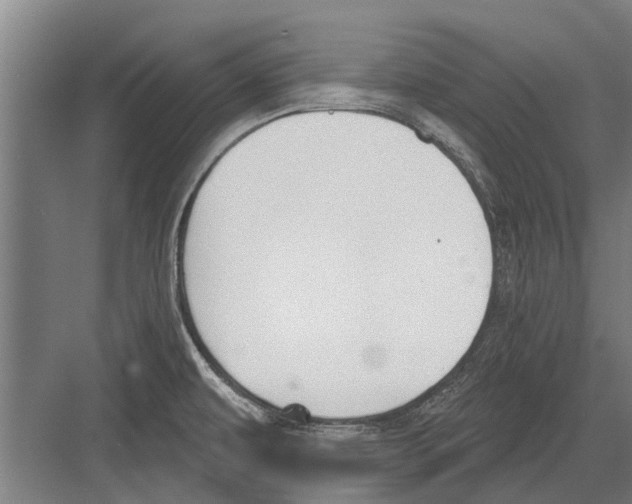 X0000081561479200702121343