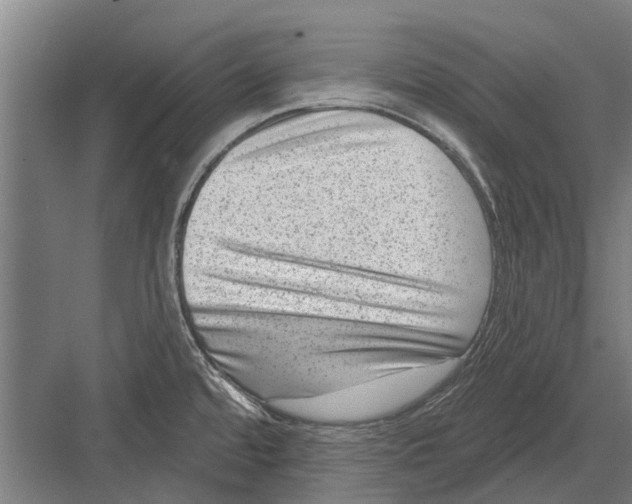 X0000081561480200702121343