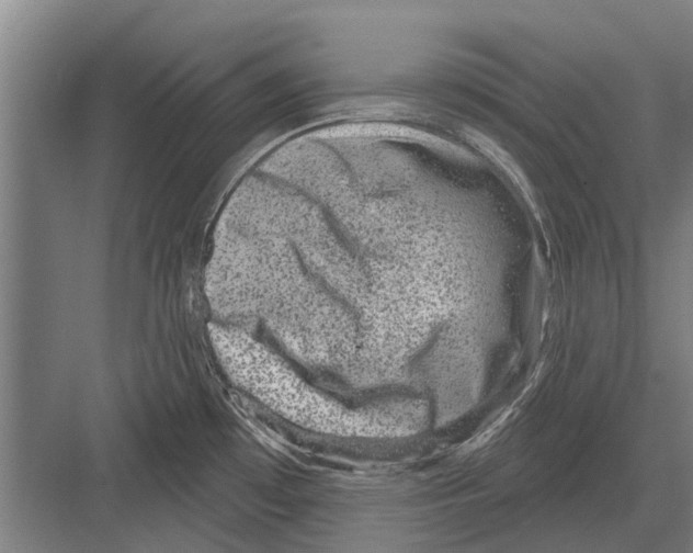 X0000081561481200702121343