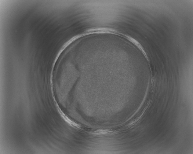 X0000081561482200702121343