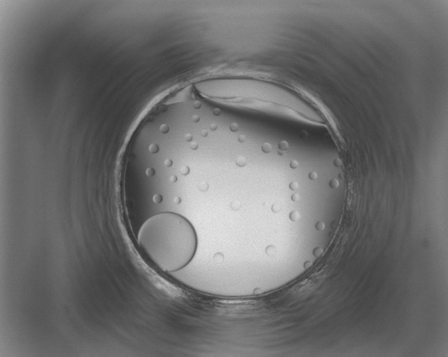 X0000081561483200702121343