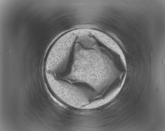 X0000081561484200702121343