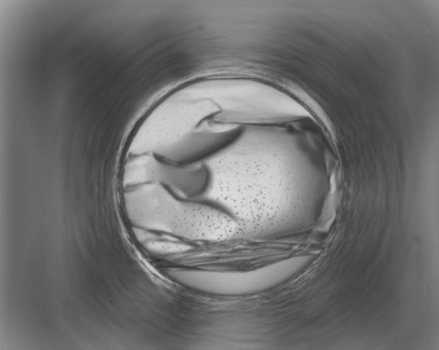 X0000081561485200702121343