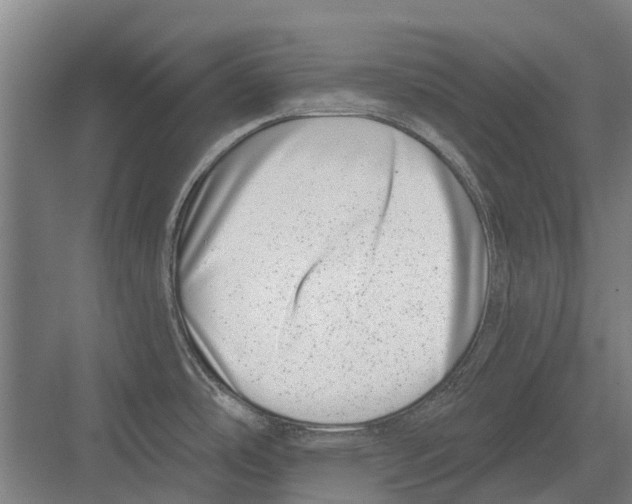 X0000081561486200702121343