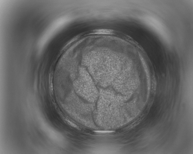 X0000081561487200702121343