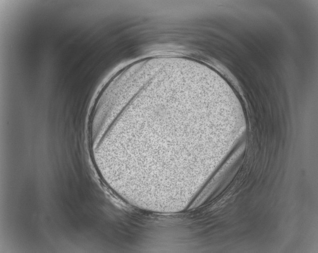 X0000081561488200702121343