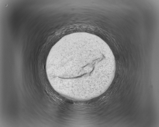 X0000081561489200702121342