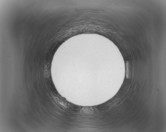 X0000081561491200702121342