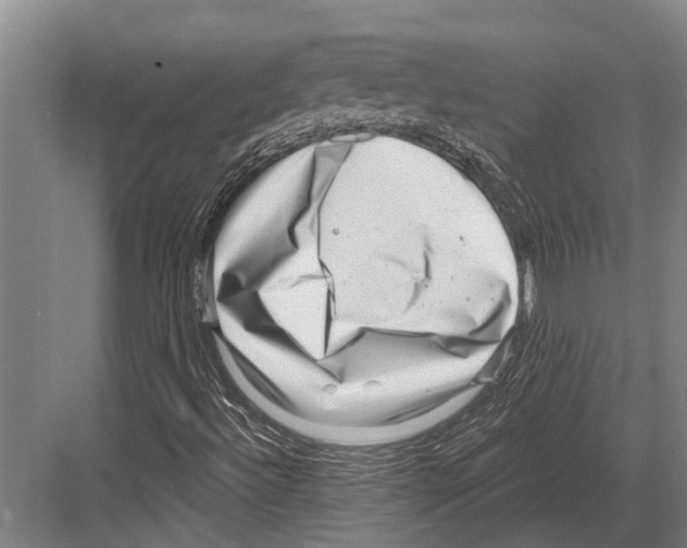 X0000081561492200702121342