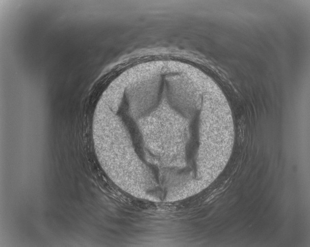 X0000081561494200702121342