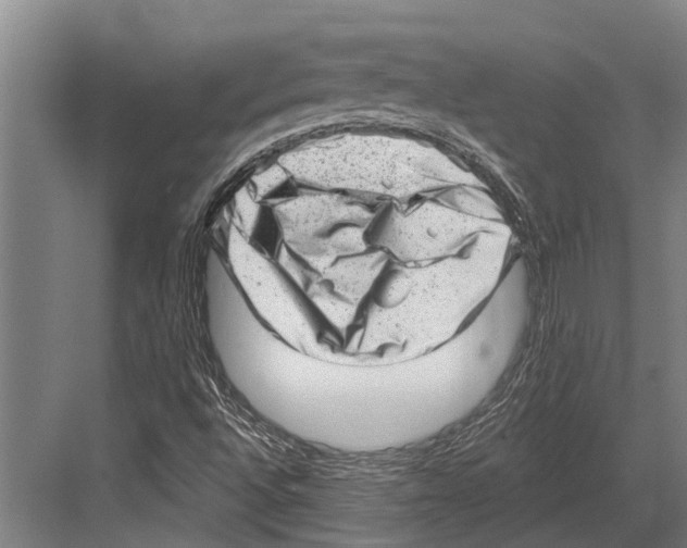 X0000081561496200702121342