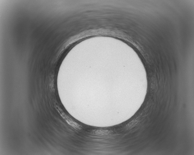 X0000081561499200702121342