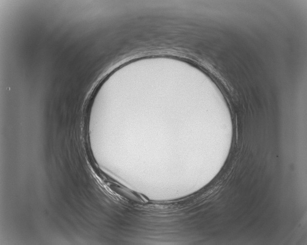 X0000081561500200702121342