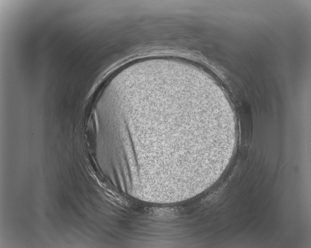 X0000081561501200702121342