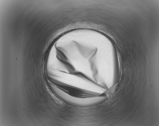 X0000081561507200702121342