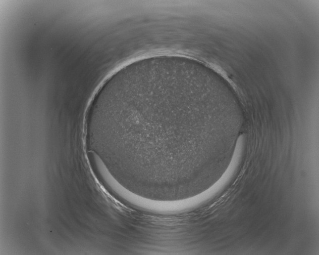 X0000081561508200702121342