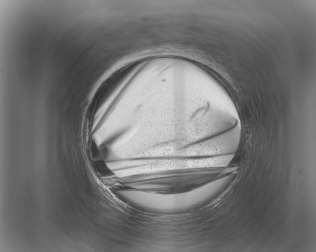 X0000081561510200702121342