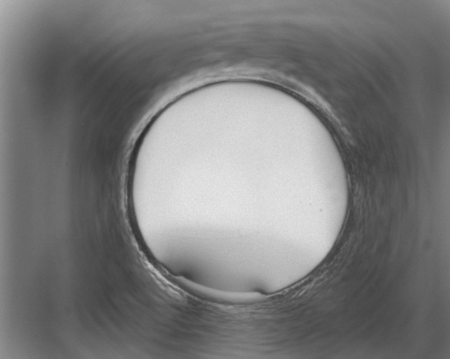 X0000081561512200702121342