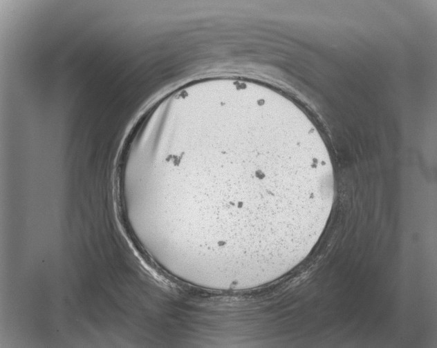 X0000081561517200702121342