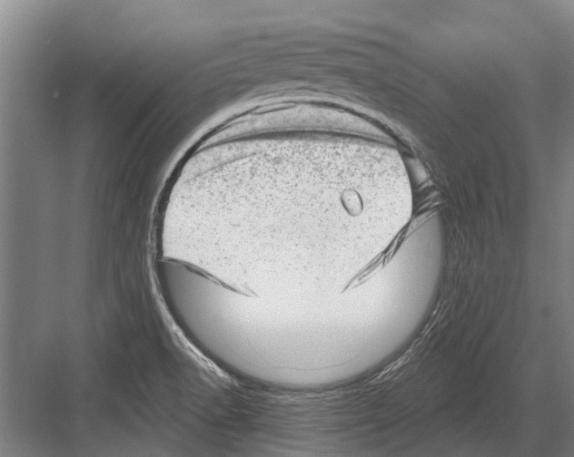 X0000081561518200702121342