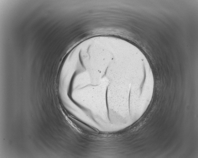 X0000081561521200702121342