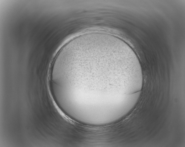 X0000081561523200702121342