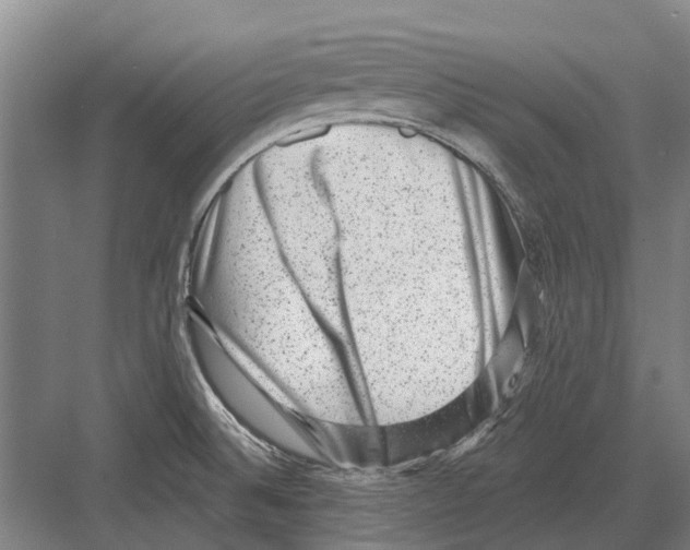 X0000081561524200702121342