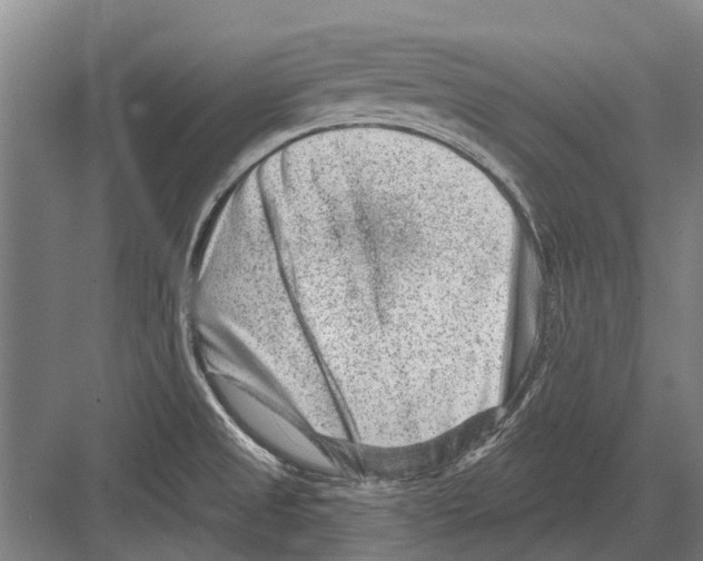 X0000081561525200702121342