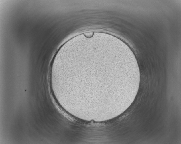 X0000081561526200702121342