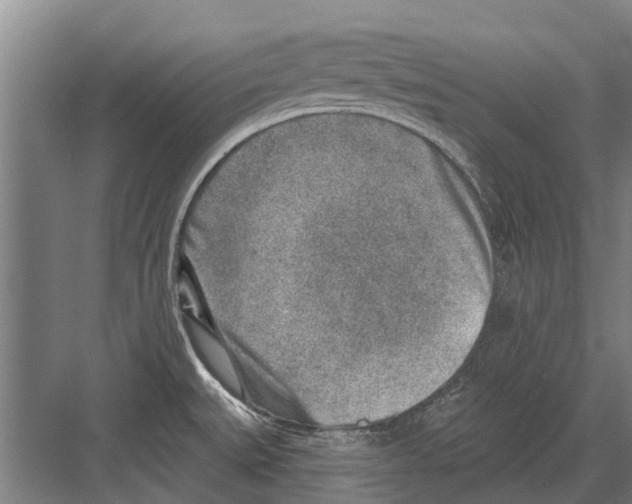 X0000081561527200702121342