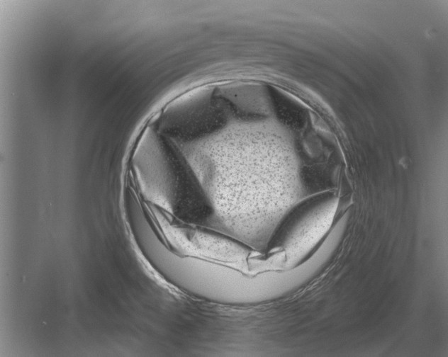 X0000081561528200702121342