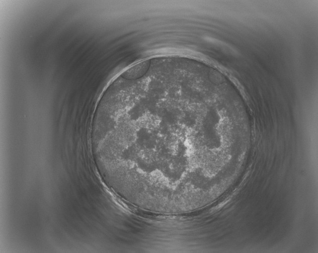 X0000081561529200702121342