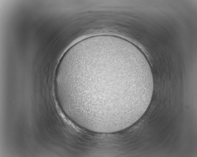 X0000081561534200702121342