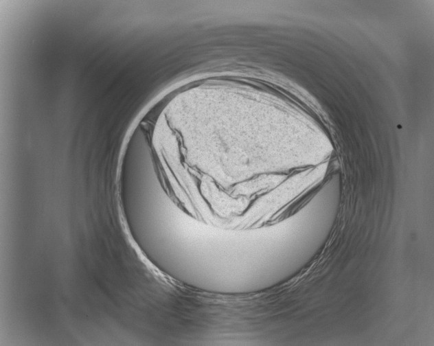 X0000081561536200702121342