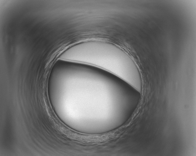 X0000081570001200701151038