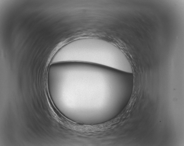 X0000081570003200701151038