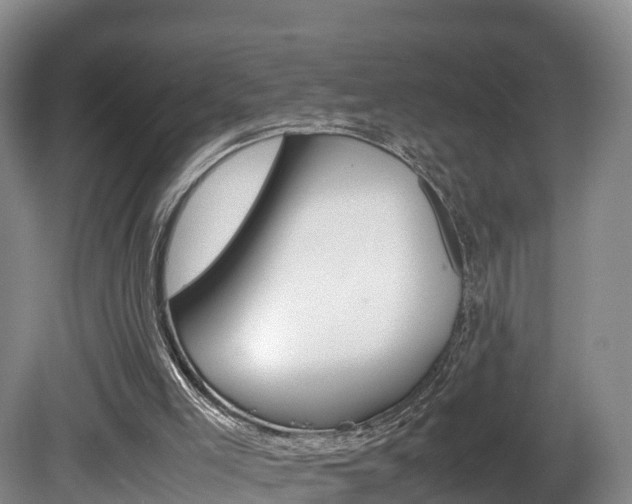 X0000081570005200701151038