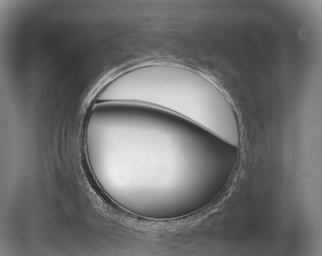 X0000081570007200701151038