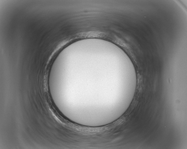 X0000081570012200701151038