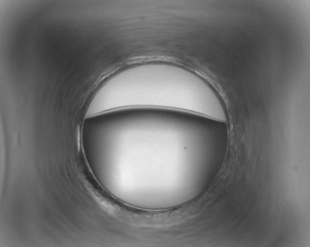 X0000081570013200701151038
