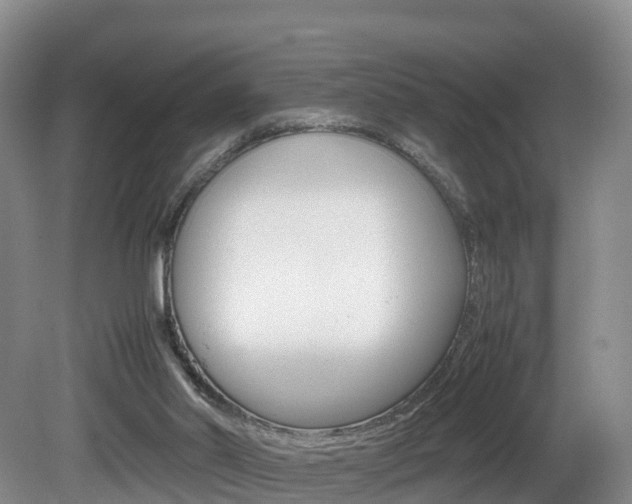 X0000081570014200701151038