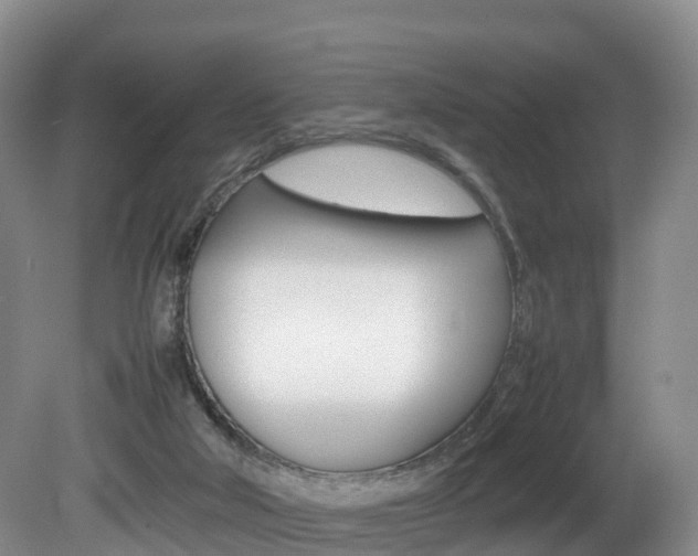 X0000081570018200701151037