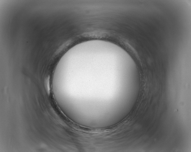 X0000081570020200701151037