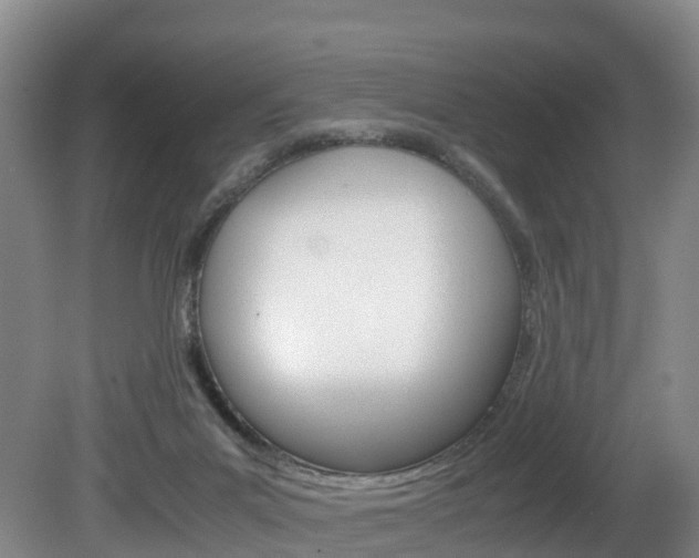 X0000081570023200701151037
