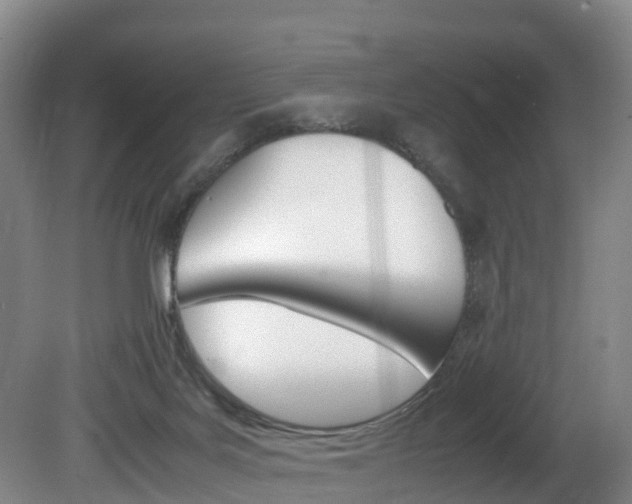X0000081570027200701151037