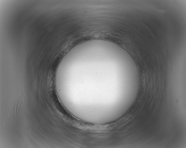 X0000081570032200701151037
