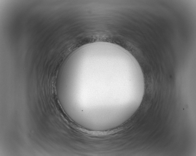 X0000081570034200701151037